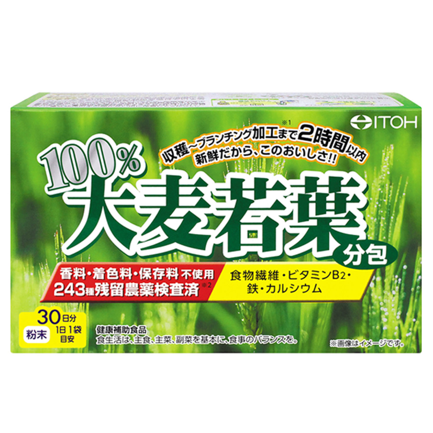 メタプロ青汁 | 健康食品のことなら井藤漢方製薬