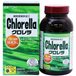 chlorella