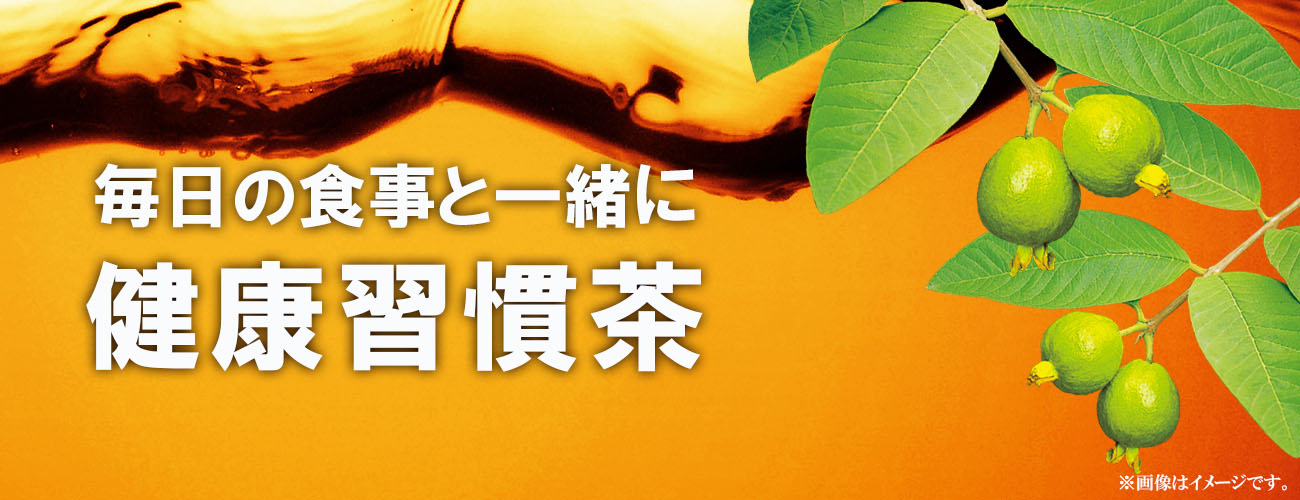 グァバ茶 １００ 商品情報 健康食品のことなら井藤漢方製薬