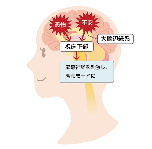 /cms_upload/journal/15/img02.jpg