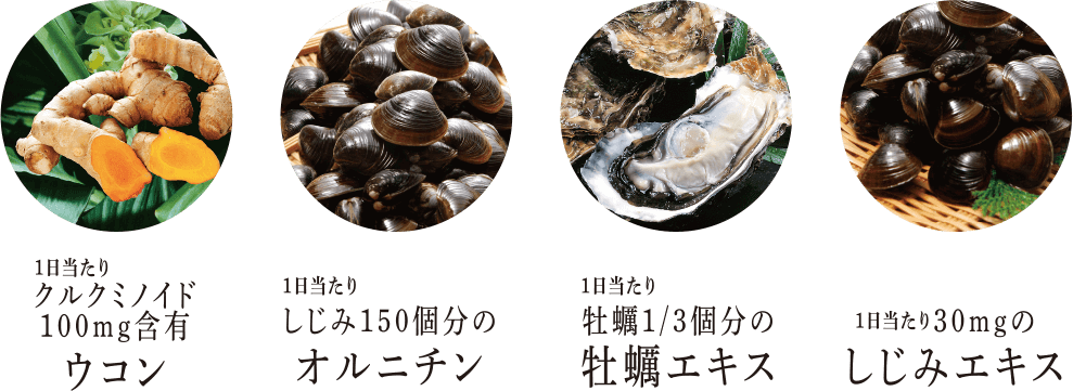 1日当たりクルクミノイド100mg含有ウコン 1日当たりしじみ150個分のオルニチン 1日当たり牡蠣1/3個分の牡蠣エキス 1日当たり30mgのしじみエキス