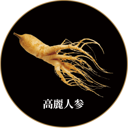 高麗人参