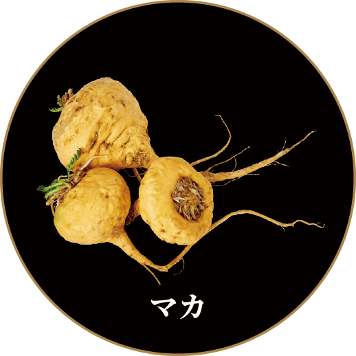 マカ