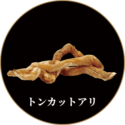 トンカットアリ