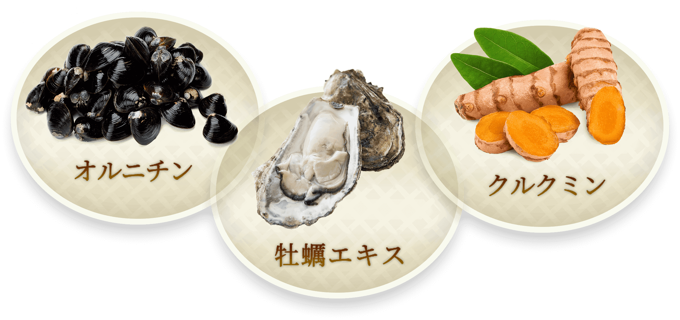 Ornithine oyster extract curcumin