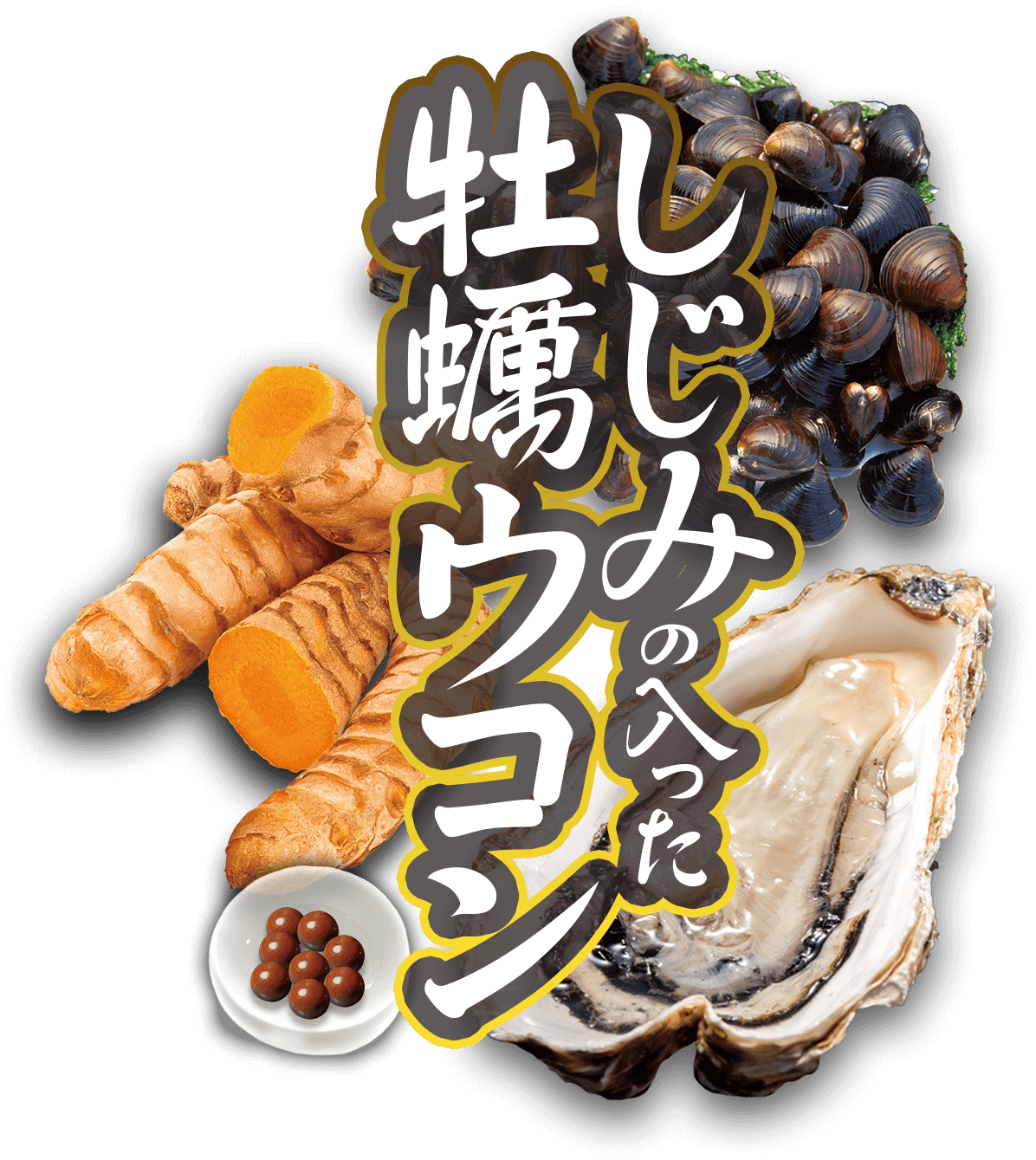 蛤蜊牡蛎姜黄